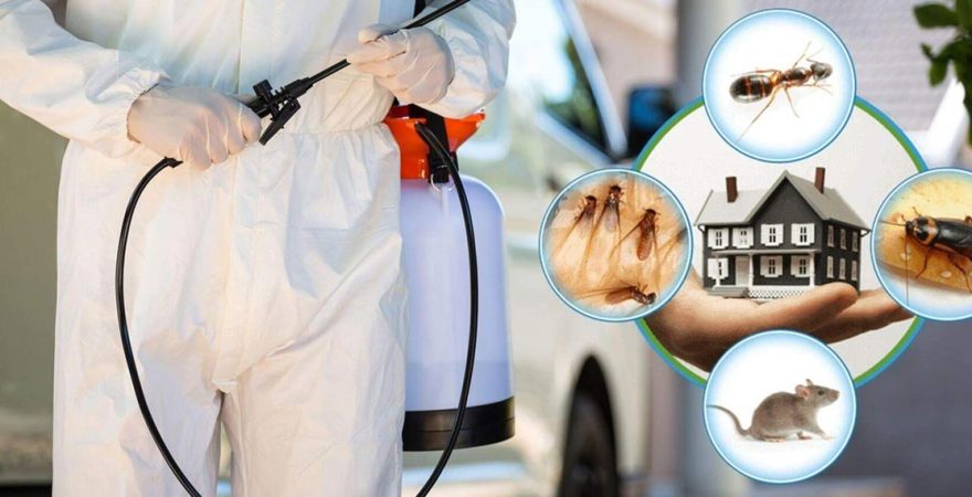 Eflani Böcek İlaçlama