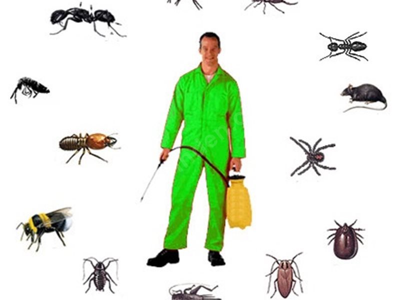 Eflani Böcek İlaçlama